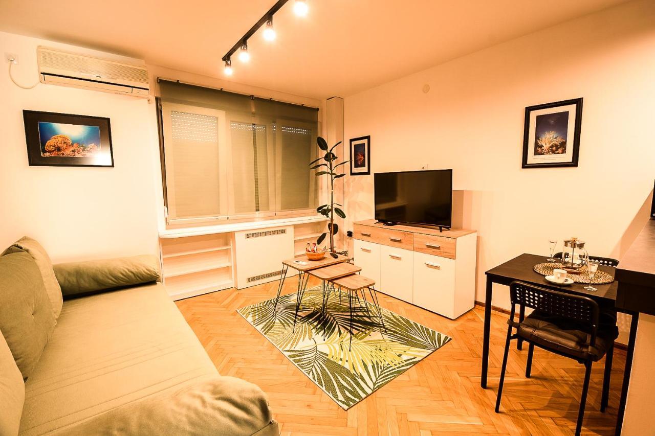 Apartment Petra 073 Belgrad Dış mekan fotoğraf