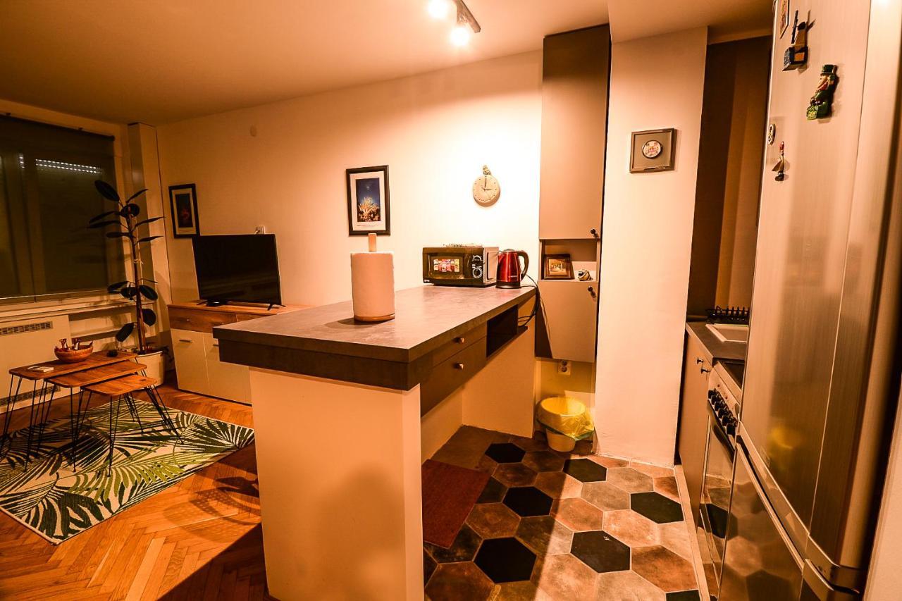 Apartment Petra 073 Belgrad Dış mekan fotoğraf